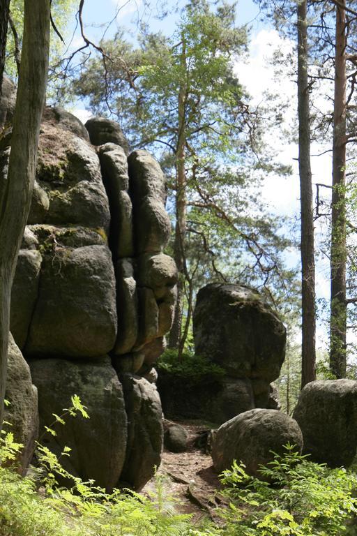 Goldberghaus Διαμέρισμα Großschönau Εξωτερικό φωτογραφία